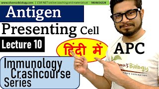 Antigen presenting cell in Hindi  Immunology lecture 10 [upl. by Vassar]