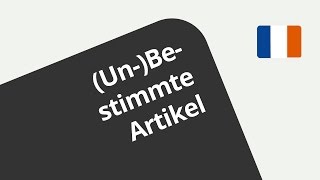 Übungsvideo die Artikel und der Teilungsartikel  Französisch  Grammatik [upl. by Vachel837]