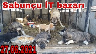 SABUNÇU İT BAZARI 27062021 [upl. by Heydon17]