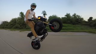 Stock Grom Stunts [upl. by Eydie]