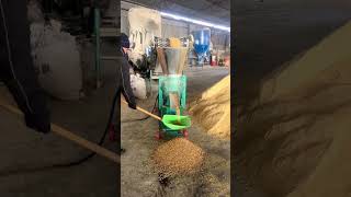 Cattle feed Mill small pellet making machine [upl. by Nelram]