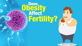 How Does Obesity Affect Fertility [upl. by Ayekal]