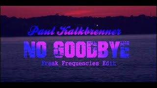 Paul Kalkbrenner  No Goodbye Freak Frequencies Edit 2k21 [upl. by Ahsaten]