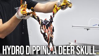 How to HYDRO DIP a Deer Skull [upl. by Maighdiln]