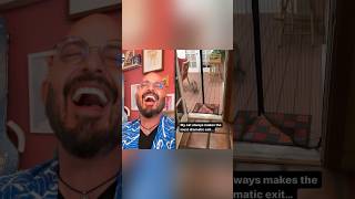 Now THAT’S how you make an entrance funnycats catvideos reaction [upl. by Adlig]