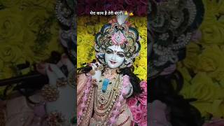 तेरा प्यार है मेरी ज़िंदगी ❤️🥰ytshorts shorts radheradhe krishna radhakrishna viralvideo ram [upl. by Mullane531]