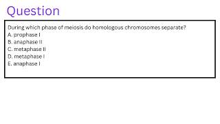 During which phase of meiosis do homologous chromosomes separate [upl. by Fleischer]