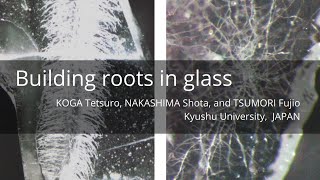 Building Root in Glass [upl. by Bork]