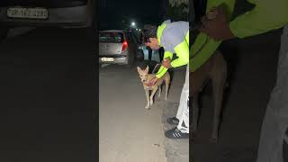 नेक काम करके जो मन को सुकून मिलता है वह किसी चीज़ में नहीं है। ❤️🙏 shortsfeed socialwork dogs [upl. by Anaed]