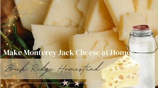 StepByStep Monterey Jack Cheese Making Tutorial Delicious Creamy Simple amp Easy To Make at Home [upl. by Taft]