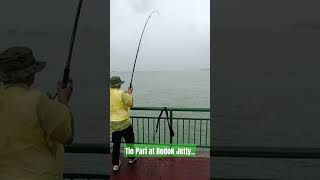 Fishing at Bedok Jetty [upl. by Retsevlis]