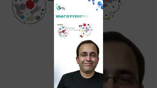 What Is Pyroptosis 🔥🔥  medway [upl. by Idnahr398]