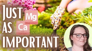 Boost your garden The Essential Role of Calcium and Magnesium for plant health [upl. by Aynotan]