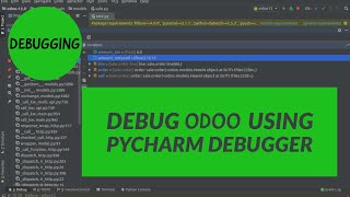 How To Debug Odoo Using Pycharm Debugger [upl. by Nuj]