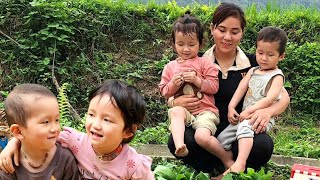 Single mother harvesting cucumbers to sell at the marketbuilding bamboo houses cooking [upl. by Elockcin272]