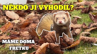 JAK DLOUHO BYLA MIMO DOMOV [upl. by Ordnagela]