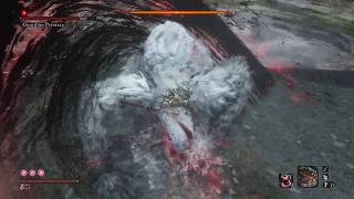 Sekiro  Guardian Ape  Fast Kill [upl. by Card]