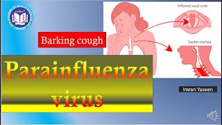 Human Parainfluenza virus causes croup or barking cough  Virology  by Imran Yaseen [upl. by Theran586]