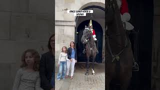 Omg the tourist women almost bitten by a horse fyp animals shorts viral viralvideo amazing [upl. by Ayal76]