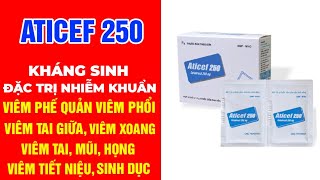 Aticef 250 Gói  Cefadroxil 250 Gói  Thuốc Cefadroxil 250 Kháng Sinh Điều Trị Nhiễm Khuẩn [upl. by Alam]