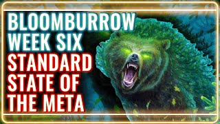 MTG Standard Decks Tier List for Bloomburrow Week 6  MTG Rebellion [upl. by Anividul105]