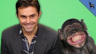 Chimpanzees Choose Their Friends [upl. by Chucho]