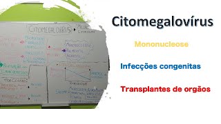 Citomegalovírus  Curso de virologia  Medicina passo a passo [upl. by Attennod]