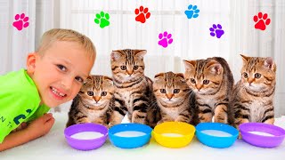 Vlad and Niki play with Kittens  Funny stories for kids [upl. by Ennaoj]