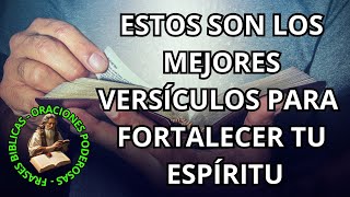 ✝️Refugio y Fé  Versículos para Fortalecer tu Espíritu en Dios [upl. by Gregg]