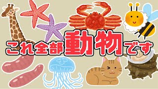 quot生物quotとquot動物quotってそもそも何？生き物の分類について知ろう！ [upl. by Ahtnicaj]