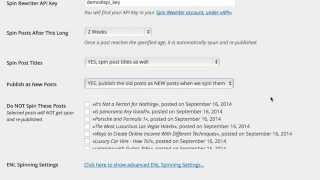 Spin Rewriter WordPress Plugin  Video Tutorial about the Settings Page [upl. by Femi]