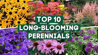 10 Long Blooming Perennials for a Colorful Garden 👌🌿💚  PlantDo Home amp Garden 🍃 [upl. by Cown]