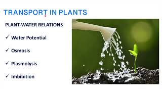 Transportation in plants  Part 2 Plant water relation  osmosis imbibition plasmolysis [upl. by Seena626]