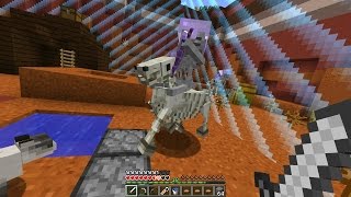 Minecraft Captive 2  Epizoda 6  Skeleton Konji [upl. by Dreda]