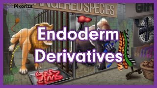 Endoderm Derivatives Mnemonic  MCAT Preview [upl. by Ijan948]