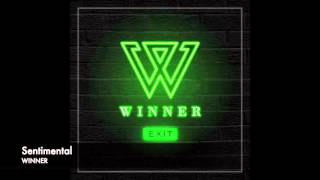 WINNER  Sentimental Instrumental with BG Vocals [upl. by Oiramal]