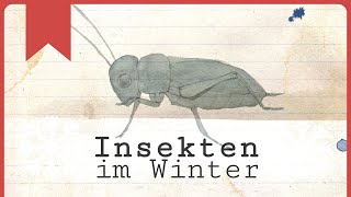 Insekten im Winter Wie sie die Kälte überstehen [upl. by Edmonds]