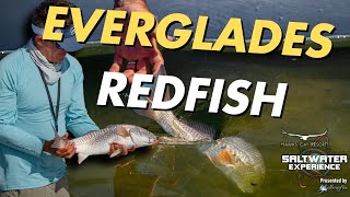 Fishing the Everglades for Huge Redfish in Key Largo  Saltwater Experience [upl. by Pennebaker704]