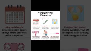 Health  Ovulation Exact Symptoms [upl. by Nigen]