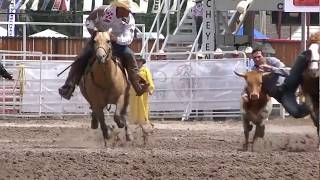 Cheyenne Frontier Days Rodeo Steer Wrestling in the Mud [upl. by Griffie]