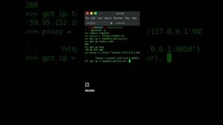 IHA089  proxy with python  Tor  Tor proxy  Linux iha089 cybersecurity linux coding [upl. by Bock990]