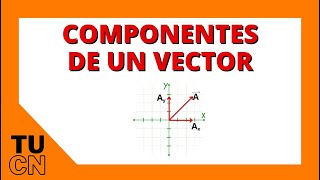 Componentes de un vector  Explicación fácil [upl. by Alroy]