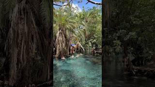 🇹🇿Chemka Hot Springs  Tanzania thetomislav tomislavraukovic [upl. by Yddub]