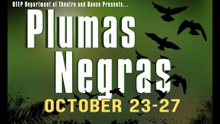 Discover the world of Plumas Negras [upl. by Kirchner]