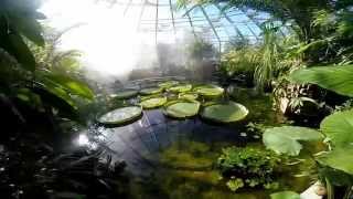 A visit to the Tropical Greenhouse at Uppsala University [upl. by Ailsun]