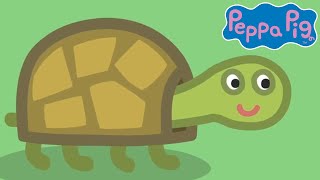 Meet Tiddles The Tortoise 🐷🐢 Peppa Pig Official Channel Family Kids Cartoons [upl. by Torry838]