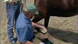 On The Road Downunder Horsemanship Treating Hoof Abscesses And Other Hoof Issues Part 2 [upl. by Saixela635]