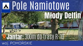 🏕️🌲Pole Namiotowe Młody Delfin  Jantar tuż przy trasie rowerowej R10 [upl. by Singh]