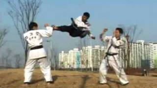 Hapkido kicking [upl. by Japeth869]