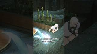 FFXIV  Things You Might Have Missed A Manderville in Mor Dhona featuring Ruby [upl. by Hayton419]